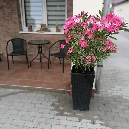 Apartment Var-lak