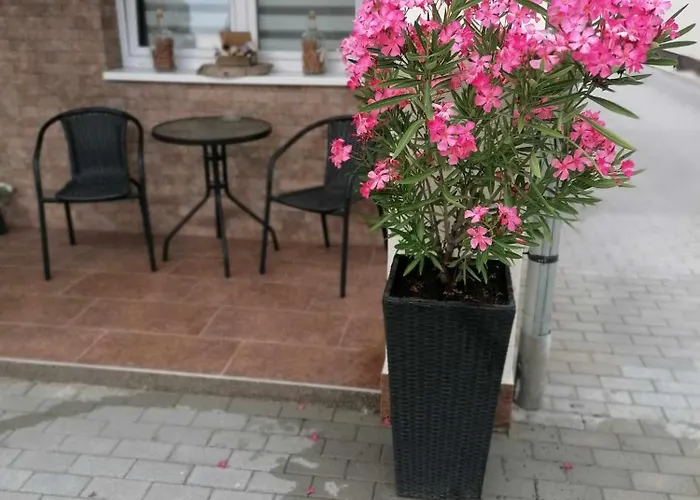 Apartament Var-lak